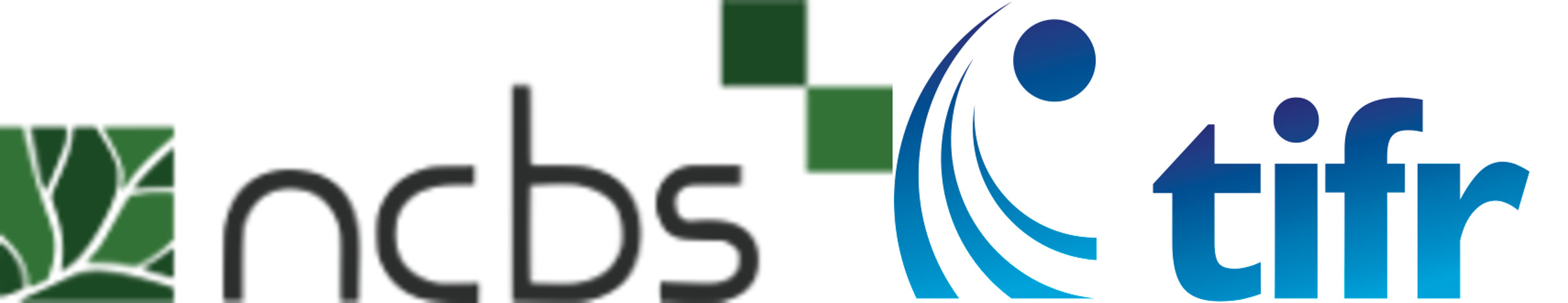 NCBS Logo