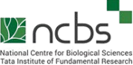 NCBS Logo