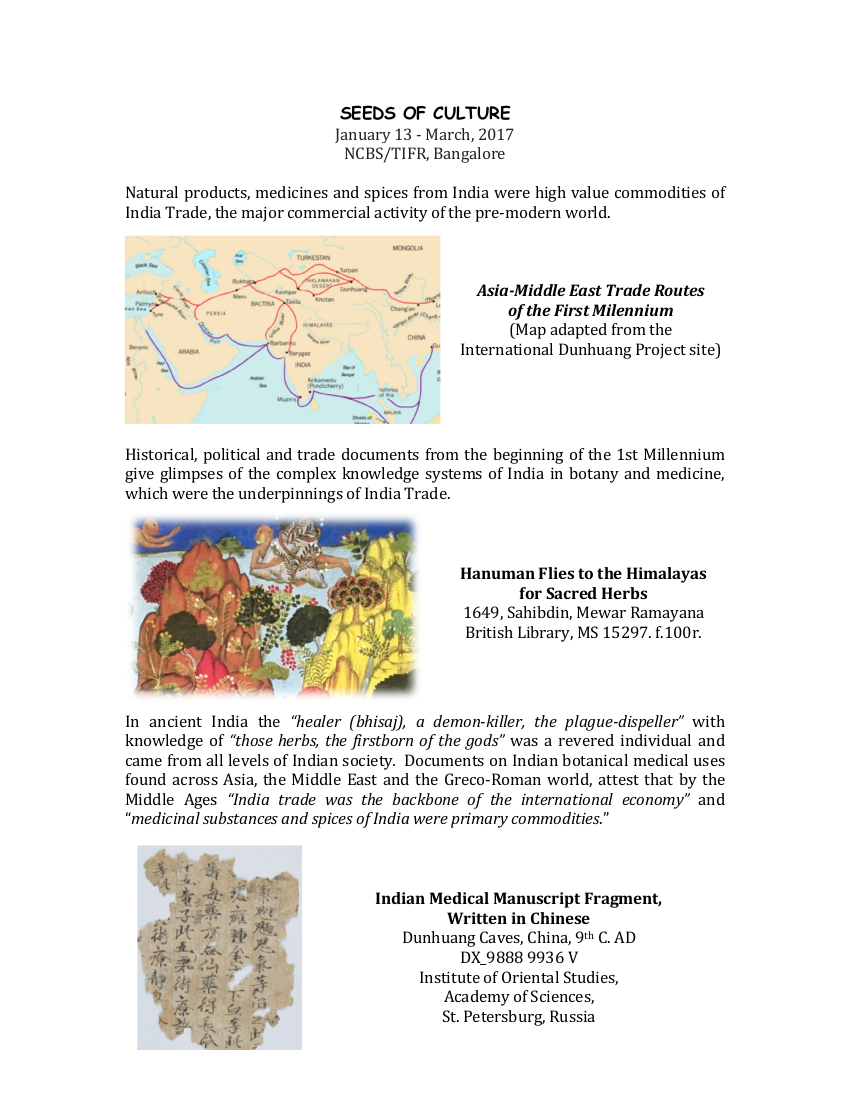 Seeds of Culture Exhibition 2017