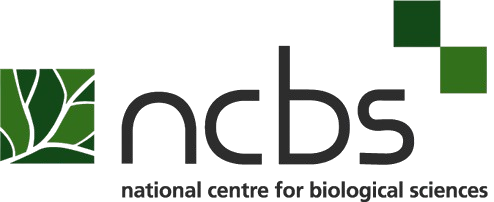 NCBS
