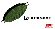 Black Spot logo