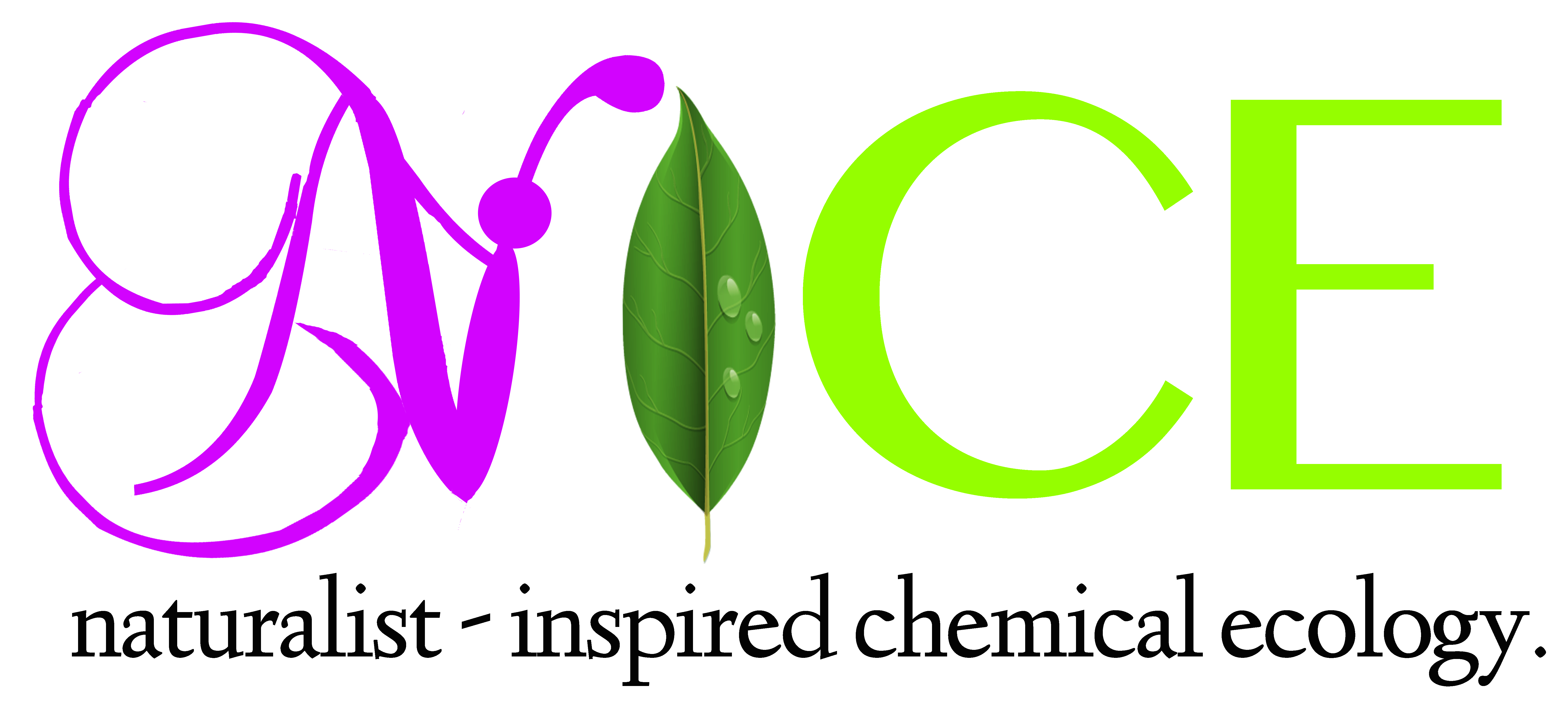 NICE logo