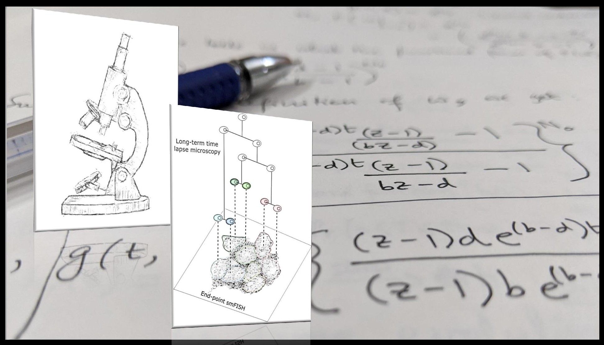 shaon research figure