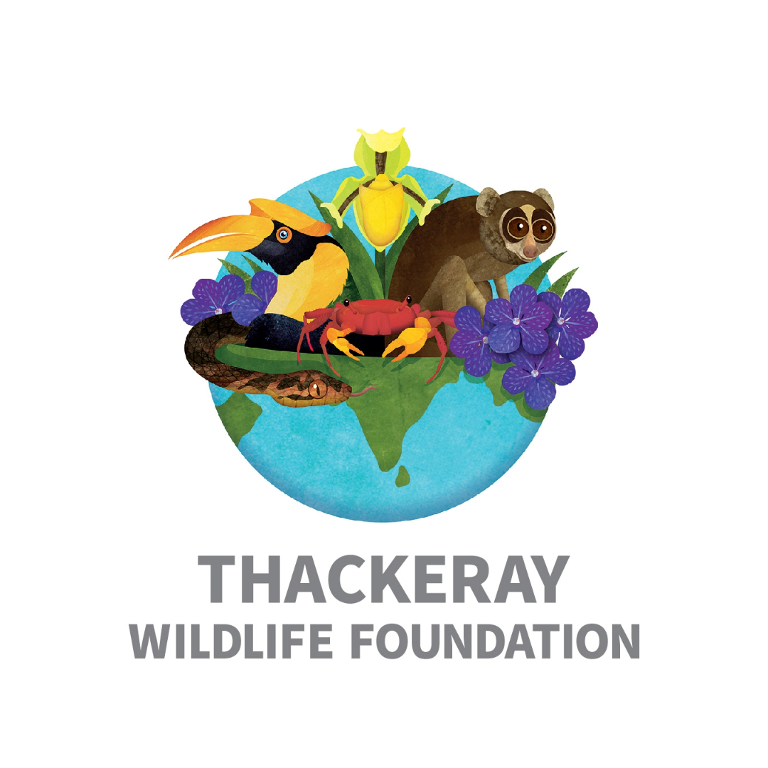 Thackeray Wildlife Foundation